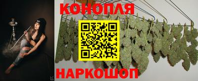 a pvp Чебоксары